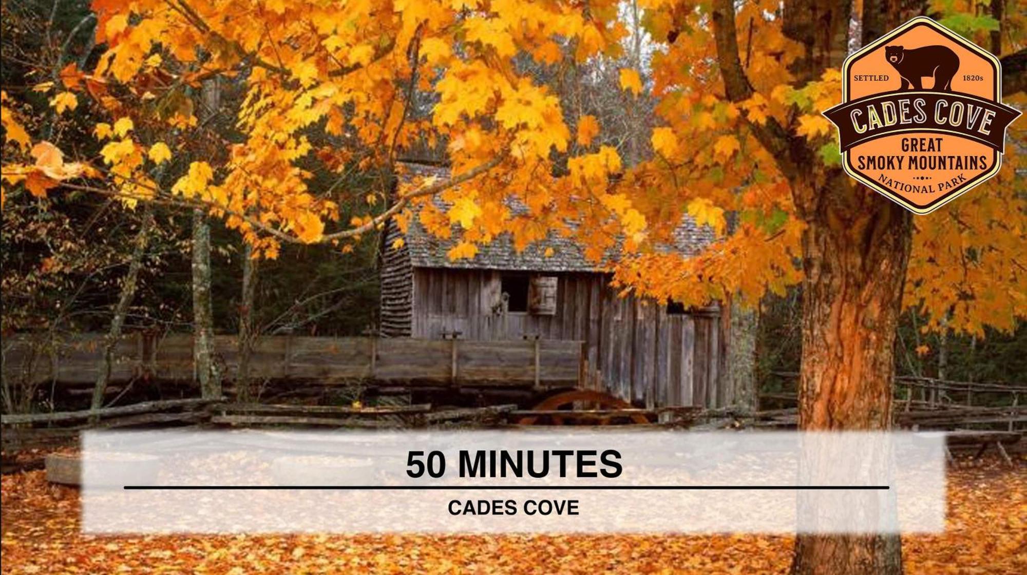 Poolside At Autumn Woods - Pool, Theater, Fireplace, Firepit, Arcade Sevierville Eksteriør billede
